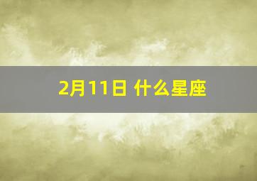 2月11日 什么星座